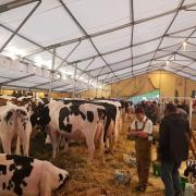 Expo Holstein, Porsel, le 19 octobre 2019, Glâne-Veveyse 