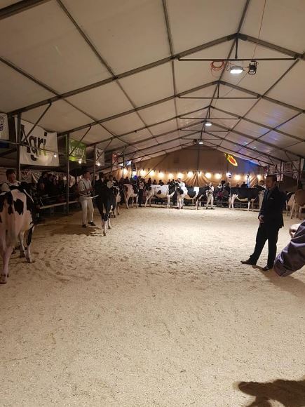 Expo Holstein, Porsel, le 19 octobre 2019, Glâne-Veveyse 