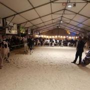 Expo Holstein, Porsel, le 19 octobre 2019, Glâne-Veveyse 