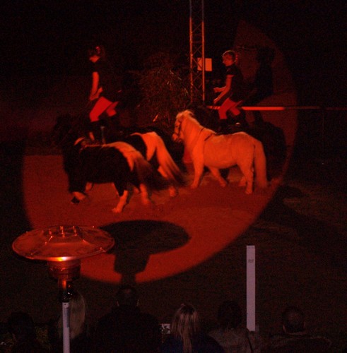 Manège Genève