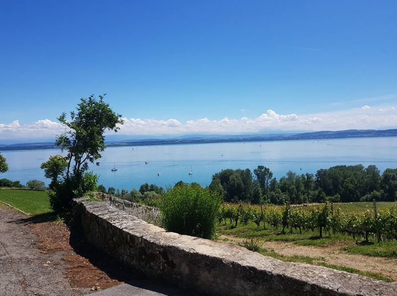 Mariage Abbaye de Bevaix et Louverain le 2 juin 2018 