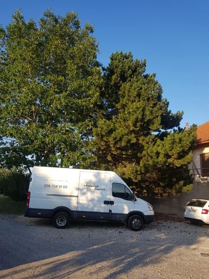 Mariage au Battoir à Chapelle-sur-Moudon le 24 août 2019 