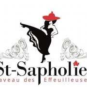 St-Sapholie, caveau des effeuilleuses, fête des vignerons, Mr. Atomick et Little Phoenix 